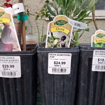 White Forest Nursery - Nurseries & Gardening Near Me - Bakersfield, California