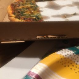 Stuffed Spinach Pizza