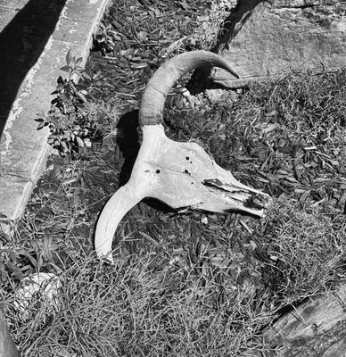 Brewha - Social Eatery & Market by null