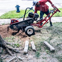 Torres Tree Service - Stump Grinding