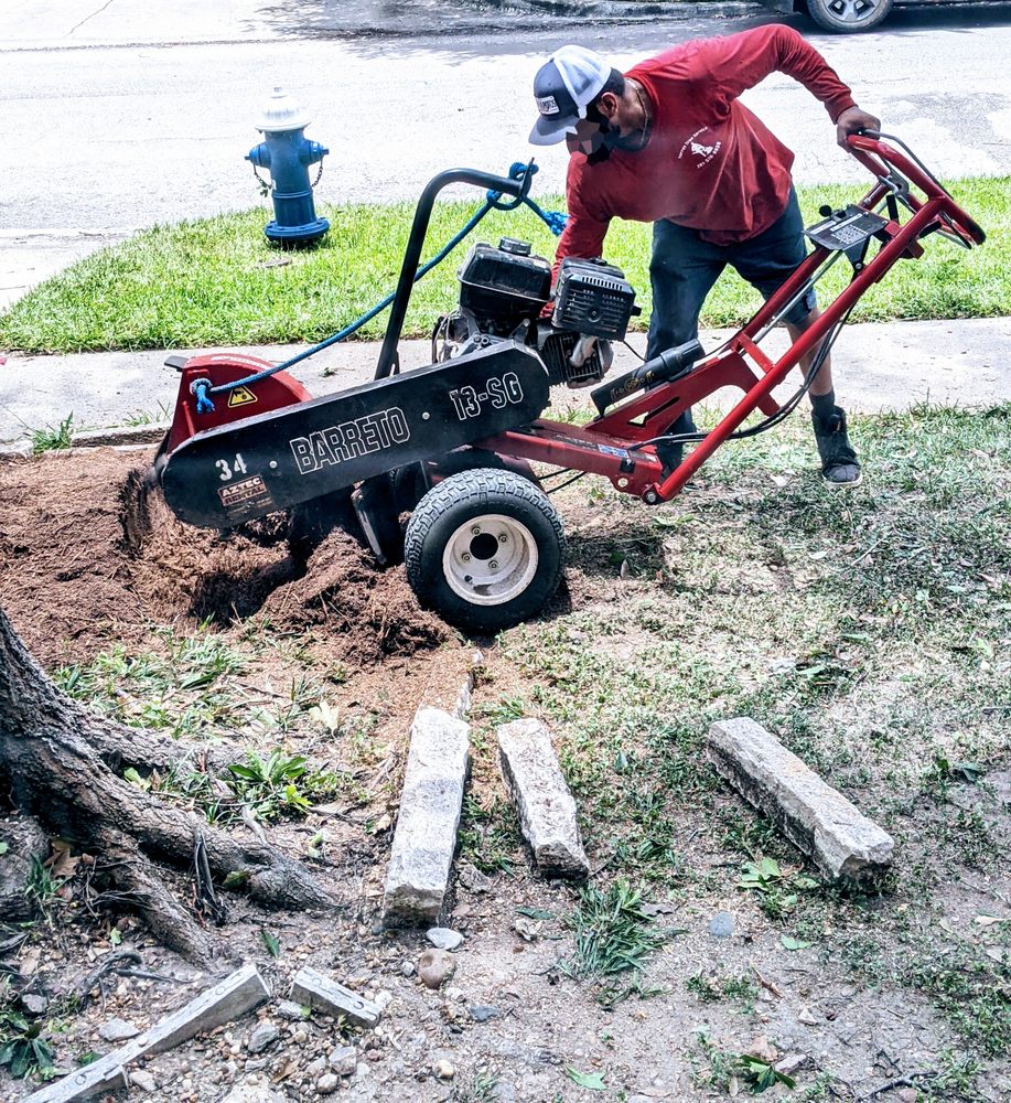 Torres Tree Service - tree service in Houston, TX