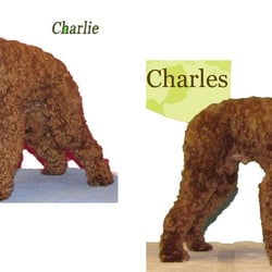Laundromuttz - From Charlie to Charles.