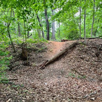 Fort Totten Park - Parks Near Me - Washington, DC, District of Columbia Fort Totten Park - Parks Near Me - Washington, DC, District of Columbia