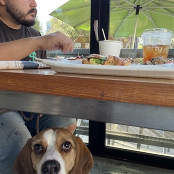 Lofty Coffee - Coffee & Tea Near Me - San Diego, California