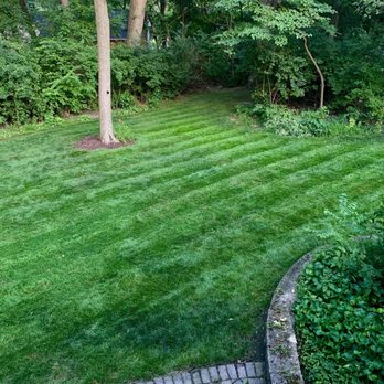 T B K Landscape Services - Spring clean up, aerate, and overseed - Landscaping Near Me - Downers Grove, Illinois