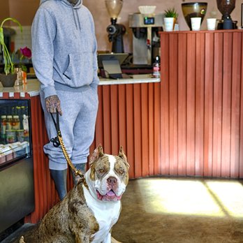 temos coffee - Coffee & Tea Near Me - San Francisco, California