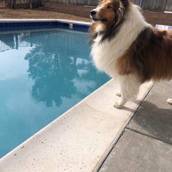 California Pools - General Contractors Near Me - Riverside, California California Pools - General Contractors Near Me - Riverside, California