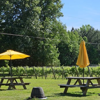River Dog Winery - Back yard - Wineries Near Me - Henrico, Virginia River Dog Winery - Back yard - Wineries Near Me - Henrico, Virginia
