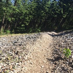 Wind Mountain Trailhead