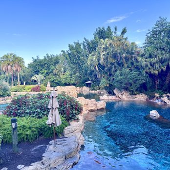 Discovery Cove - Amusement Parks Near Me - Orlando, Florida