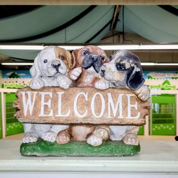 Happy Tails STL - Pet Sitting Near Me - Saint Ann, Missouri Happy Tails STL - Pet Sitting Near Me - Saint Ann, Missouri