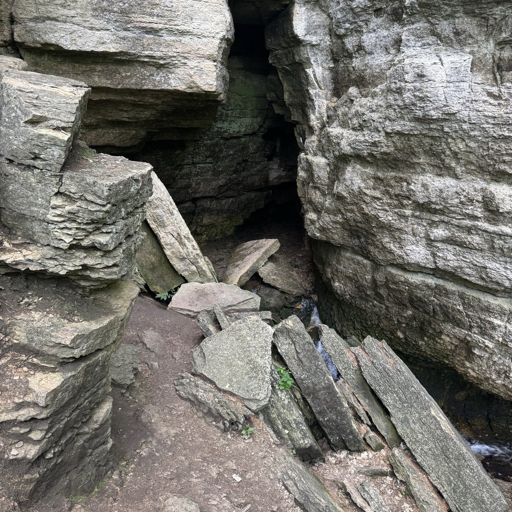 Dunning's Spring Park - Parks Near Me - Decorah, Iowa Dunning's Spring Park - Parks Near Me - Decorah, Iowa