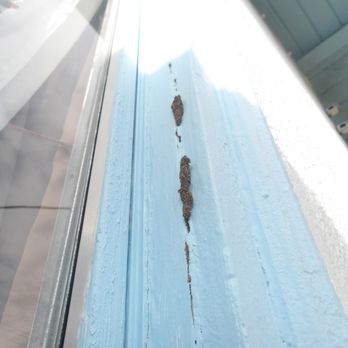 Times Up Termite - Subterranean termite infestation on this window sill. - Pest Control Near Me - San Leandro, California Times Up Termite - Subterranean termite infestation on this window sill. - Pest Control Near Me - San Leandro, California