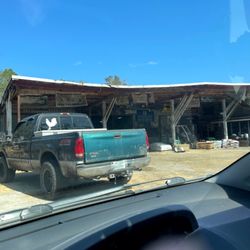 North Florida Feed and Farm Supply - I was the only other person there other than the employees.