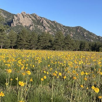 Flatirons Vista Trail - Hiking Near Me - Boulder, Colorado