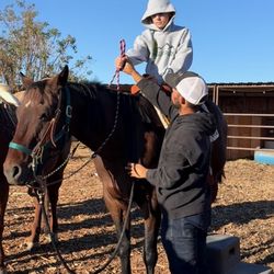 Cowboy Trail Rides