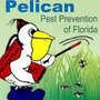 Photo of Pelican Pest Prevention of FL