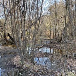 Upper Las Virgenes Canyon Open Space Preserve - Trail running jumping over water