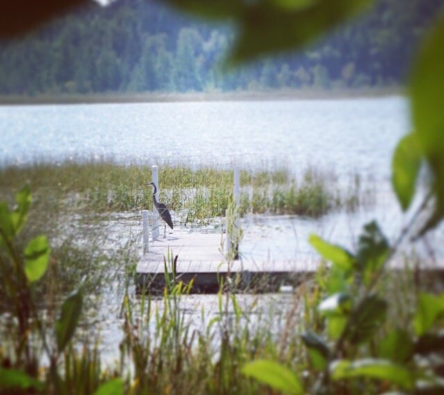 ROYAL STARR RESORT Updated October 2024 19238 Echo Ridge Dr, Nevis