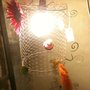 Photo of Agapi