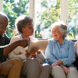 Graceful Transitions Senior Advisors - Alternative Senior Service: Advocacy, Referrals, Adult Daycare, etc.