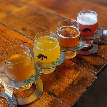 Aardwolf Brewing Company - Sours!! - Bars Near Me - Jacksonville, Florida