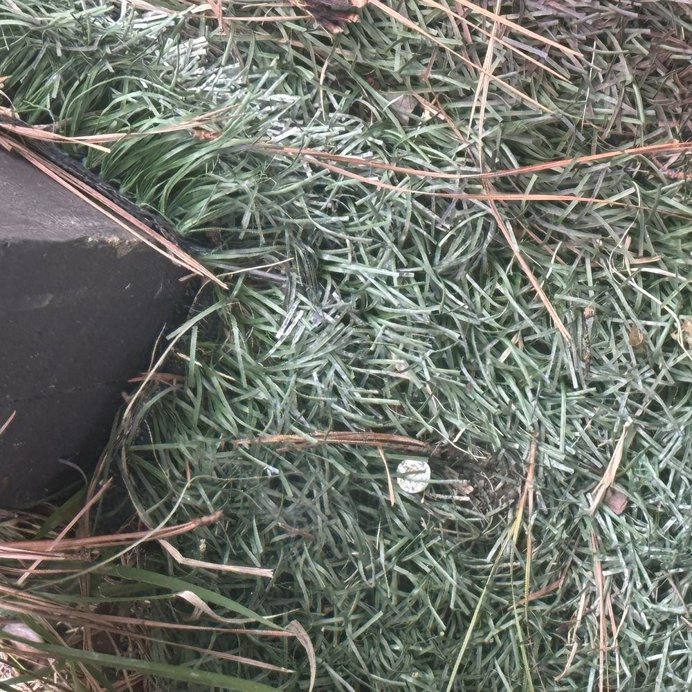 Designs landscaping - Bad wiring and damaged turf from install - Landscaping Near Me - Atlanta, Georgia Designs landscaping - Bad wiring and damaged turf from install - Landscaping Near Me - Atlanta, Georgia