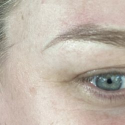 Symétrie Permanent Makeup Studio & Spa - Eyebrows day one