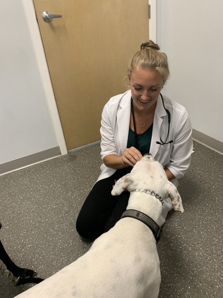 Oviedo Veterinary Care And Emergency Reviews