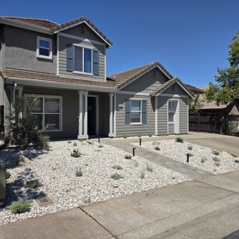 Caligreen Landscaping - Paver Path, Plants, Lighting, Boulders, Olive Tree - Landscaping Near Me Caligreen Landscaping - Paver Path, Plants, Lighting, Boulders, Olive Tree - Landscaping Near Me