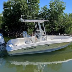 20' Wellcraft