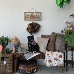 Fourleaf Thrift Store