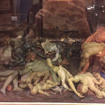Museo Zoologico La Specola - Museums Near Me - Florence, FI Museo Zoologico La Specola - Museums Near Me - Florence, FI
