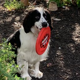 One happy dog! One happy dog!
