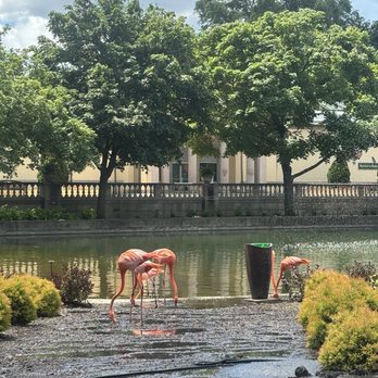 Brookfield Zoo Chicago - Zoos Near Me - Brookfield, Illinois Brookfield Zoo Chicago - Zoos Near Me - Brookfield, Illinois