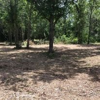 Property Clearing - Cleared a new home site in preparation for construction. Property Clearing - Cleared a new home site in preparation for construction.