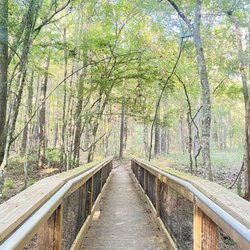 Lake Pithlachocco Trailhead - The bridge into exploration