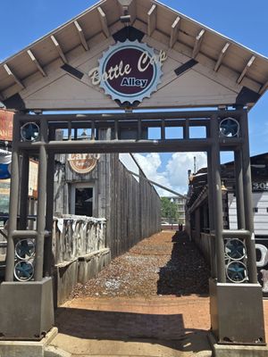 Dixie Chicken by null