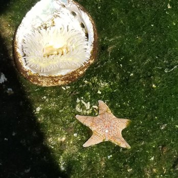 Ocean World - Aquariums Near Me - Crescent City, California