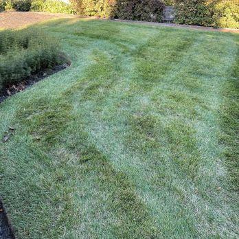 Summer Green Landscape Inc - a freshly mowed lawn - Lawn Services Near Me