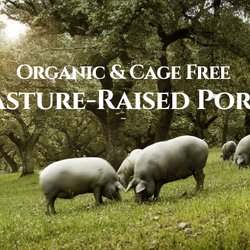Caseiro E Bom - Iberico Pata Negra usa  usapatanegra.com