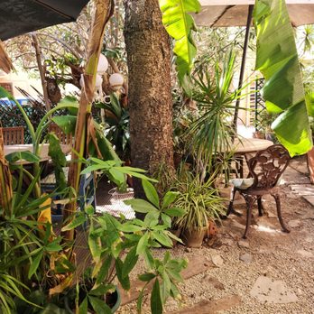 Temple Natura - Vegetarian Near Me - Palma de Mallorca, PM Temple Natura - Vegetarian Near Me - Palma de Mallorca, PM