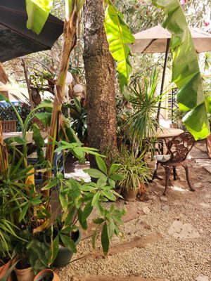 Temple Natura Café Garden by null