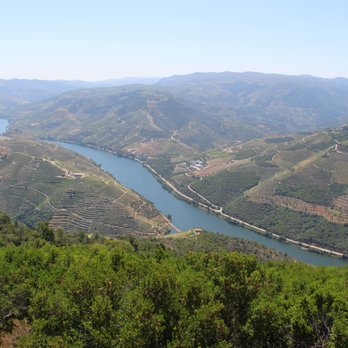 Your Tours - Tours Near Me - Braga, 03