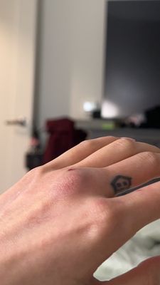 The Grand Boston by null