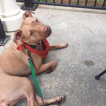 Baumhower's Victory Grille - Pet friendly patio! - American Near Me - Daphne, Alabama