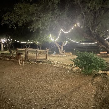 Katie's Cozy Cabins - The park area across the driveway from the front porch. - Vacation Rentals Near Me - Tombstone, Arizona Katie's Cozy Cabins - The park area across the driveway from the front porch. - Vacation Rentals Near Me - Tombstone, Arizona