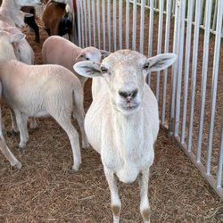 Hunsader Farms