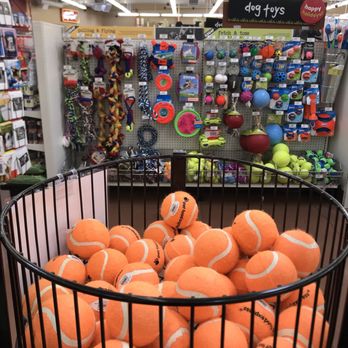 Pet Food Express - Pet Stores Near Me - Campbell, California Pet Food Express - Pet Stores Near Me - Campbell, California