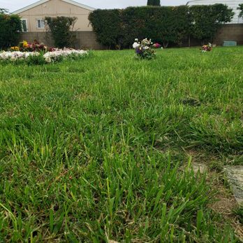 Memory Garden Memorial Park & Mortuary - Grass has be cut - Cremation Services Near Me - Brea, California Memory Garden Memorial Park & Mortuary - Grass has be cut - Cremation Services Near Me - Brea, California